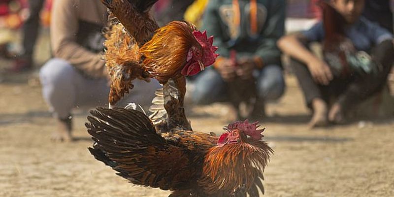 Những chiến thuật được áp dụng đúng lúc giúp tăng cơ hội thắng