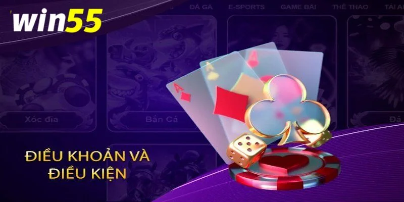 Tổng quan sơ bộ về các điều khoản điều kiện nhà cái Win55