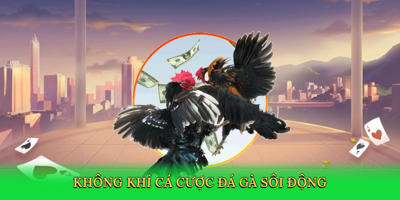 Không khí cá cược đá gà sôi động