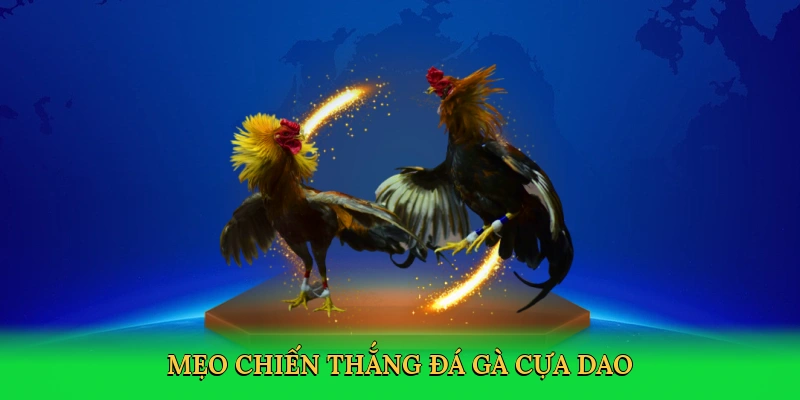 Mẹo chiến thắng đá gà cựa dao