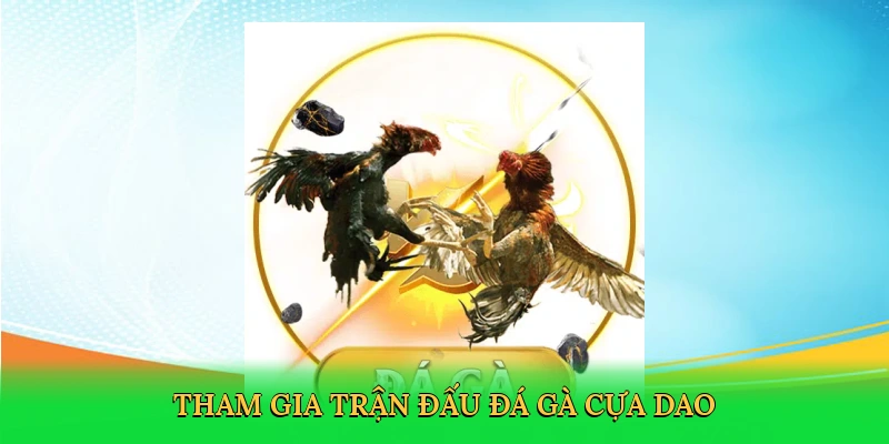 Tham gia trận đấu đá gà cựa dao