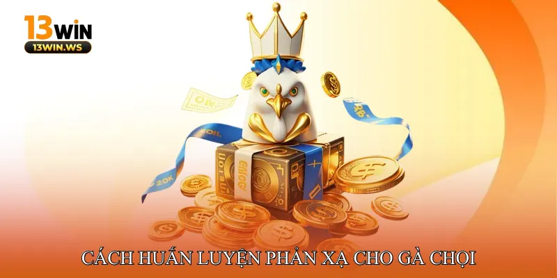 Cách Huấn Luyện Phản Xạ Cho Gà Chọi