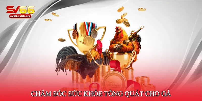 Chăm sóc sức khỏe tổng quát cho gà