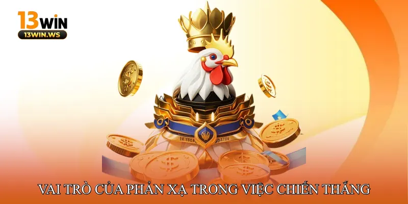 Vai Trò Của Phản Xạ Trong Việc Chiến Thắng