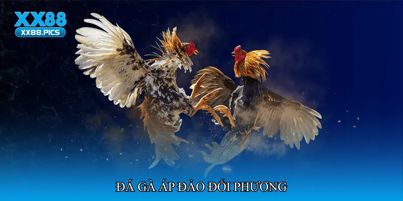 Đá gà áp đảo đối phương