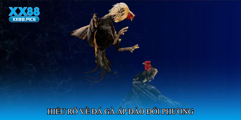 Hiểu rõ về Đá gà áp đảo đối phương