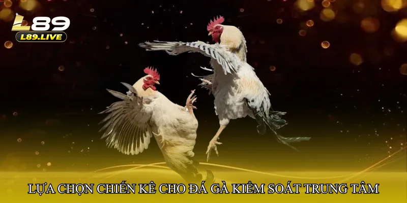 Lựa chọn chiến kê cho đá gà kiểm soát trung tâm